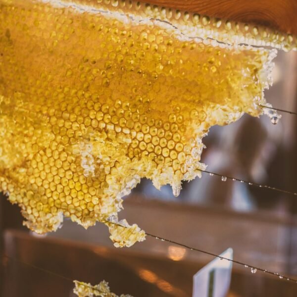 Bee Honey: The Reality Series — Episode 4