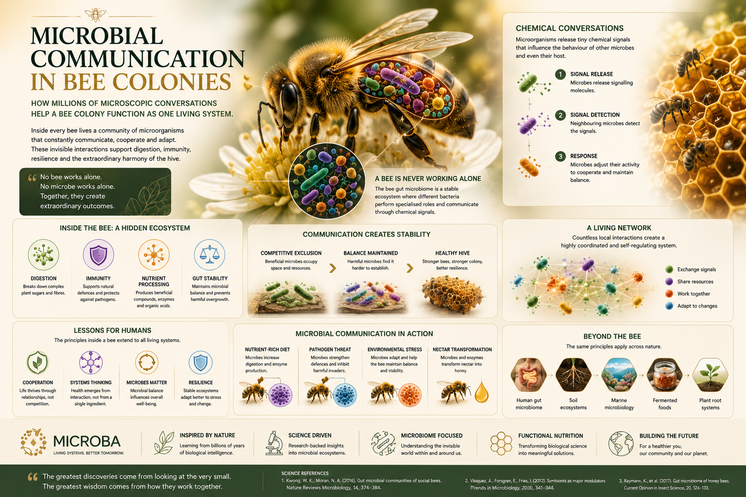 Microbial Communication in Bee Colonies