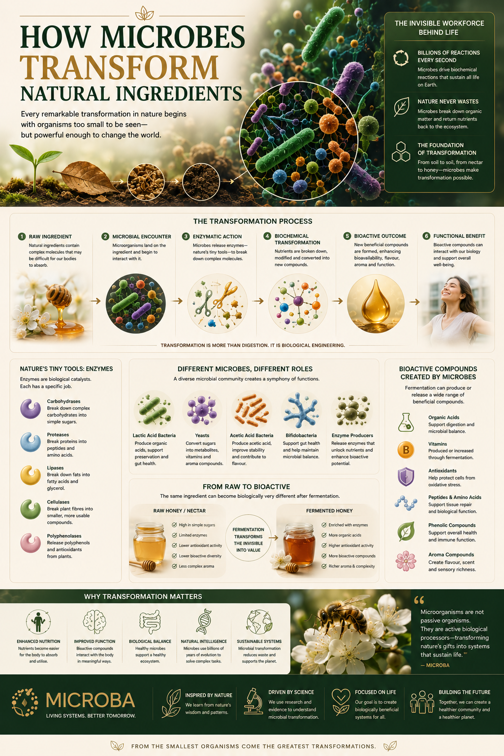 How Microbes Transform Natural Ingredients